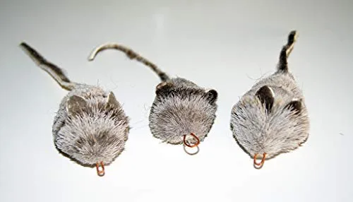 CoolCyberCats Fun Rat Pack - Recambio de accesorios para cañas de pescar Wildcat y populares