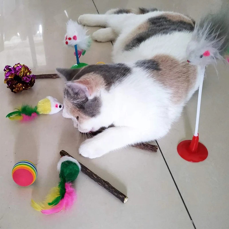 SenYoung - Juguetes interactivos para gatos, 27 piezas