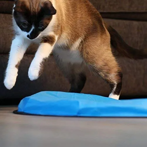 OurPets Catty Whack Interactive Cat Toy (Cat Toys for Stimulating Play with Real Mouse Sound, Rotating Feather for Hunting Instincts & Carpeted Scratching Area)