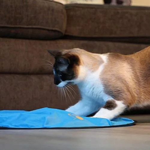 OurPets Catty Whack Interactive Cat Toy (Cat Toys for Stimulating Play with Real Mouse Sound, Rotating Feather for Hunting Instincts & Carpeted Scratching Area)