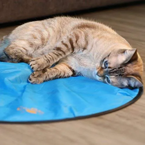 OurPets Catty Whack Interactive Cat Toy (Cat Toys for Stimulating Play with Real Mouse Sound, Rotating Feather for Hunting Instincts & Carpeted Scratching Area)