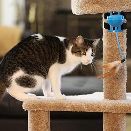 OurPets Catty Whack Interactive Cat Toy (Cat Toys for Stimulating Play with Real Mouse Sound, Rotating Feather for Hunting Instincts & Carpeted Scratching Area)