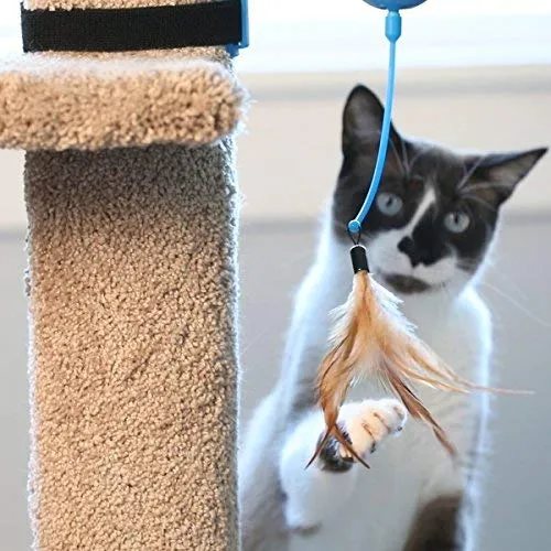 OurPets Catty Whack Interactive Cat Toy (Cat Toys for Stimulating Play with Real Mouse Sound, Rotating Feather for Hunting Instincts & Carpeted Scratching Area)