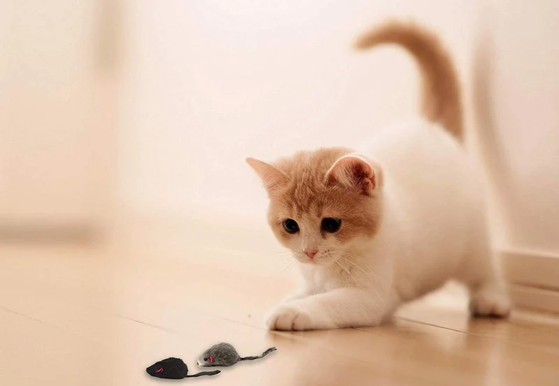 AXEL PETS 20 - Juego de ratones interactivos para gatos con sonido de gato y sonajero hecho de piel de conejo real