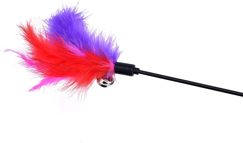 bingpet gato Juguetes color varían Feather Teaser y Exerciser Varita Para Gato Y Kitten