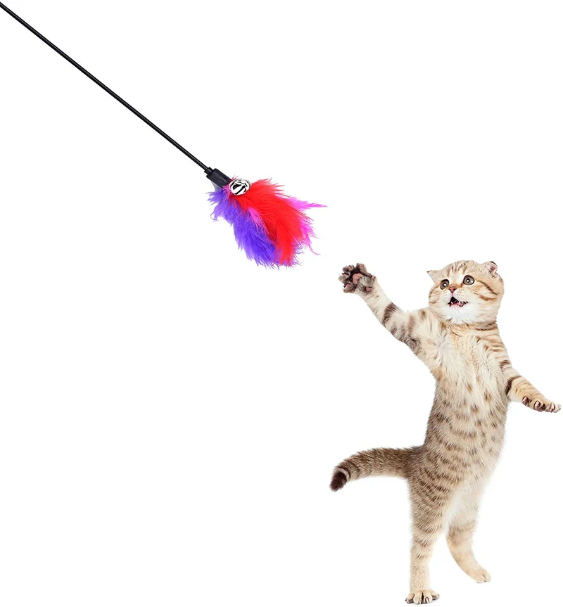bingpet gato Juguetes color varían Feather Teaser y Exerciser Varita Para Gato Y Kitten
