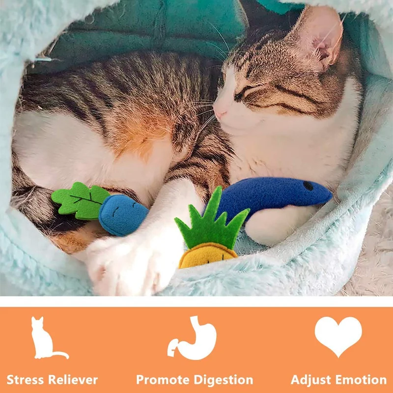 AWOOF Catnip Juguetes para gatos, Naturales Catnip Kitten Juguetes Gato Juguetes Set