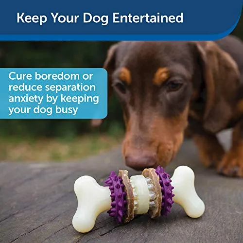 PetSafe Busy Buddy Bristle Bone Chew Toy for Dogs – Strong Chewers – Helps Clean Teeth – Extra Small, Small, Medium, Large