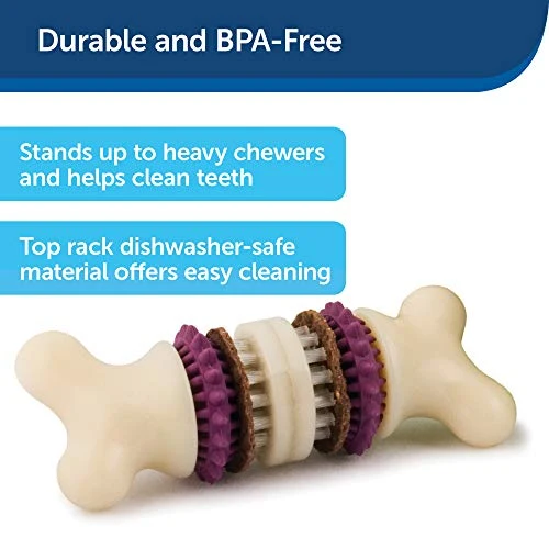 PetSafe Busy Buddy Bristle Bone Chew Toy for Dogs – Strong Chewers – Helps Clean Teeth – Extra Small, Small, Medium, Large
