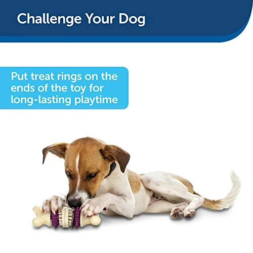 PetSafe Busy Buddy Bristle Bone Chew Toy for Dogs – Strong Chewers – Helps Clean Teeth – Extra Small, Small, Medium, Large