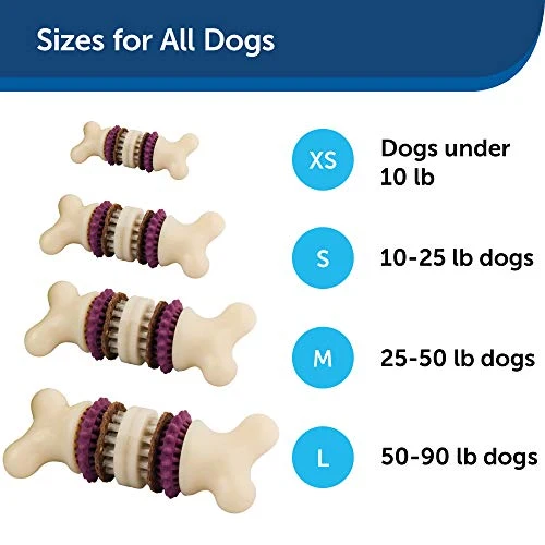 PetSafe Busy Buddy Bristle Bone Chew Toy for Dogs – Strong Chewers – Helps Clean Teeth – Extra Small, Small, Medium, Large