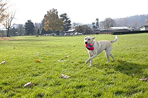 Chuckit Fumble Fetch Juguete para perros