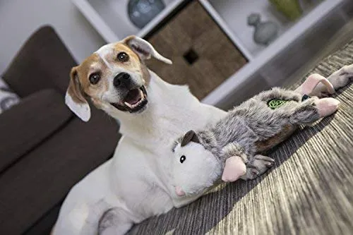 goDog Flatz Juguete para perro con protector para masticar