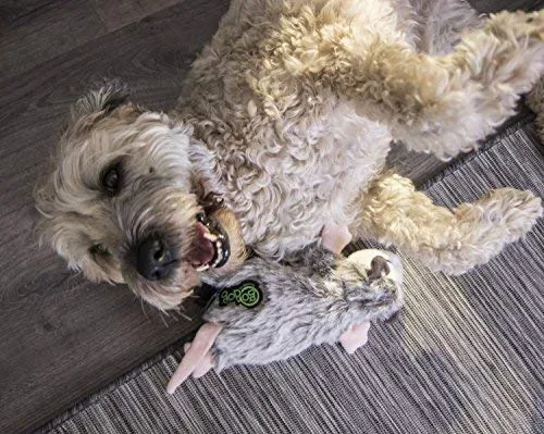 goDog Flatz Juguete para perro con protector para masticar