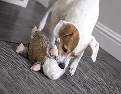 goDog Flatz Juguete para perro con protector para masticar