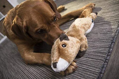goDog Flatz Juguete para perro con protector para masticar