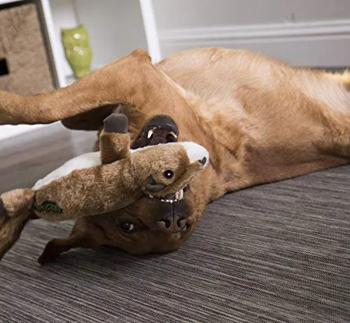 goDog Flatz Juguete para perro con protector para masticar