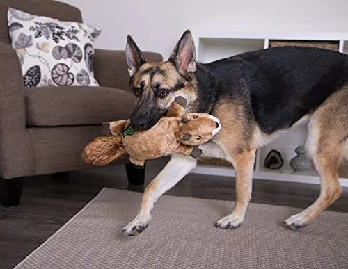 goDog Flatz Juguete para perro con protector para masticar