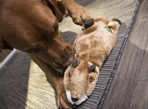 goDog Flatz Juguete para perro con protector para masticar