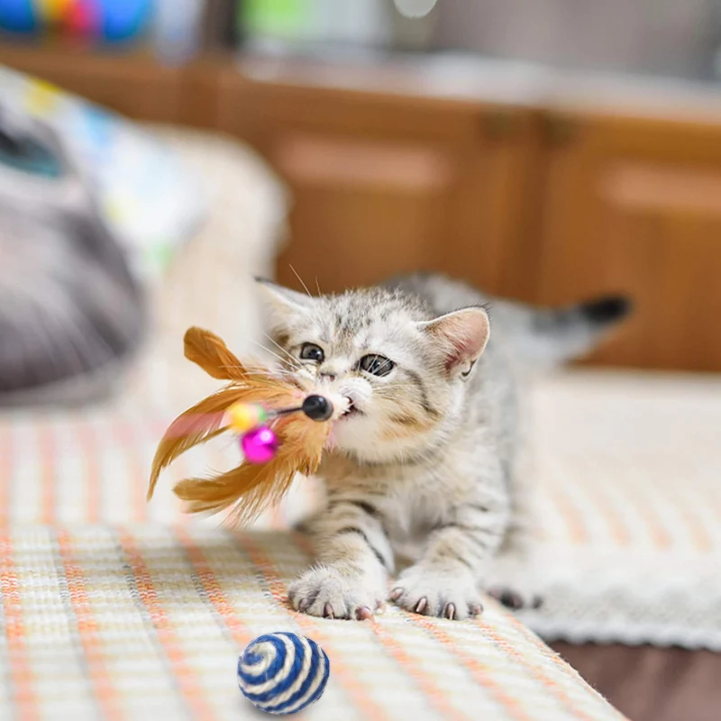 Depets - Juego de juguetes interactivos para gatos, 16 piezas, incluye toalla de plumas, juguete para gatos, pelotas de gato (puede variar)