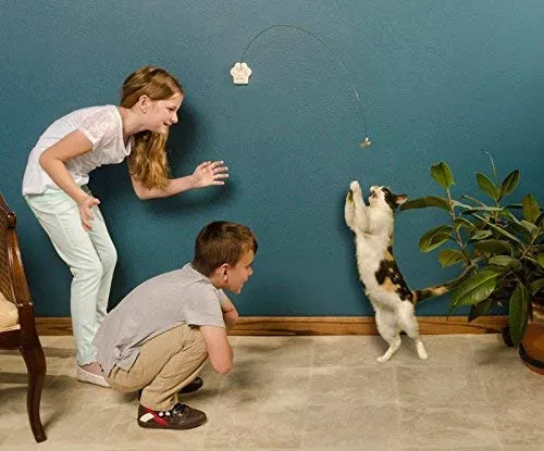 Juguete para gatos.