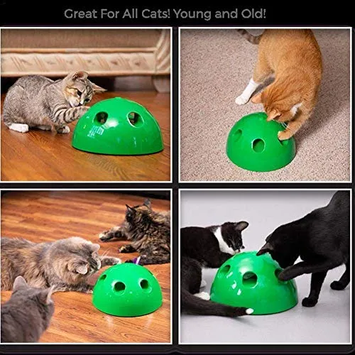 JUNMAO Juguetes interactivos para gatos, juguete interactivo para gatos, divertido juguete de entrenamiento de rasguños para gatitos y mascotas, juguete electrónico inteligente para mover al azar, pluma y ratón