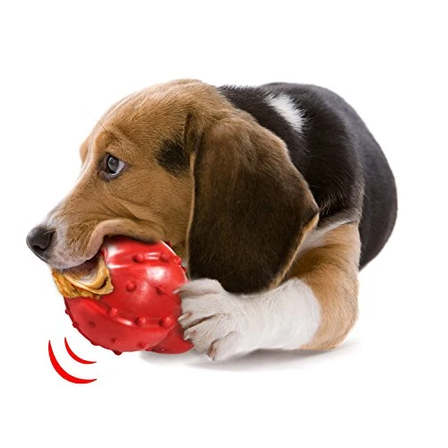 Nylabone - Peluche para perro