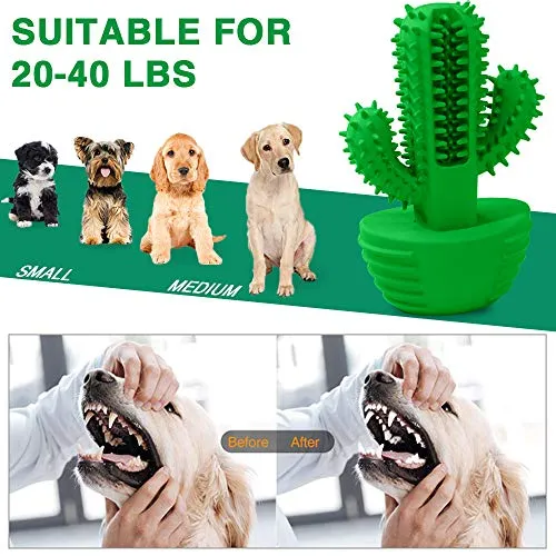 Cepillo de dientes de goma natural para perros de HETOO