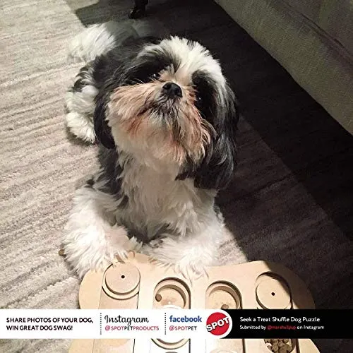 Rompecabezas de juguete de hueso interactivo para mascotas