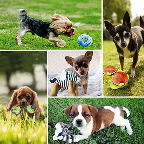 BUIBIIU Juguetes para perros, juguetes de dentición para perros, juguetes para masticar a perros, juguetes para masticar y chirridos, pelotas