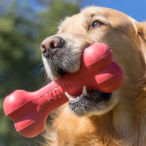 KONG - Hueso de Goodie