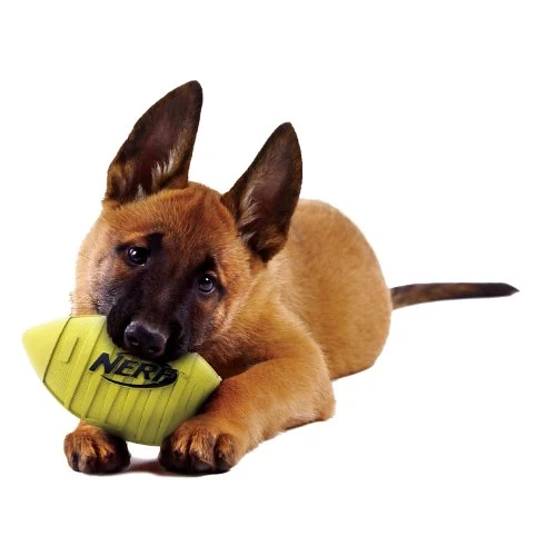 Juguete para perro Nerf de goma