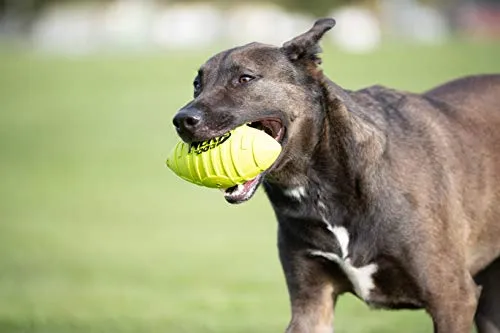 Juguete para perro Nerf de goma