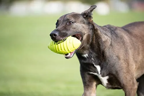 Juguete para perro Nerf de goma