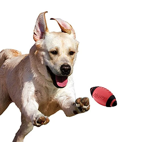 Juguete para perro Nerf de goma