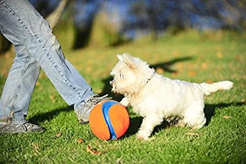 Chuckit Kick Fetch Toy Ball for Dogs