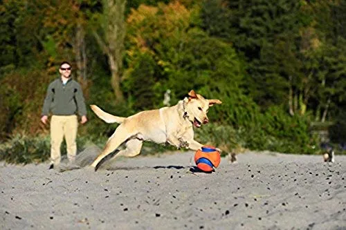 Chuckit Kick Fetch Toy Ball for Dogs