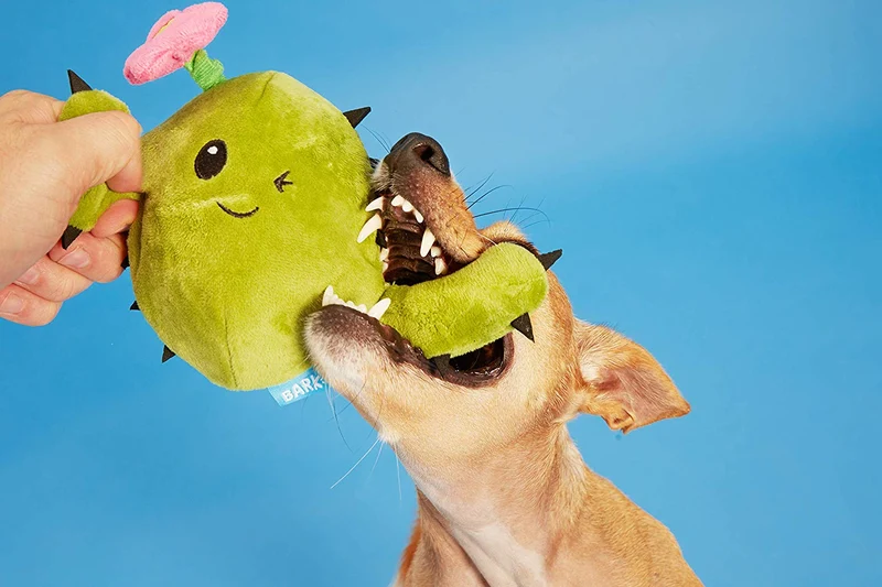 Peluche interactivo 2 en 1 de BarkBox para perros pequeños, medianos y grandes