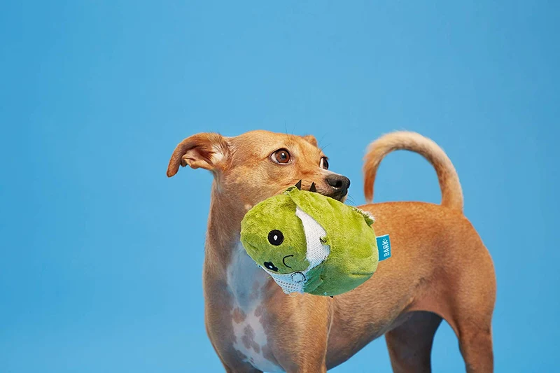 Peluche interactivo 2 en 1 de BarkBox para perros pequeños, medianos y grandes