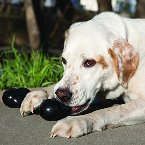 KONG - Extreme Goodie Boneª