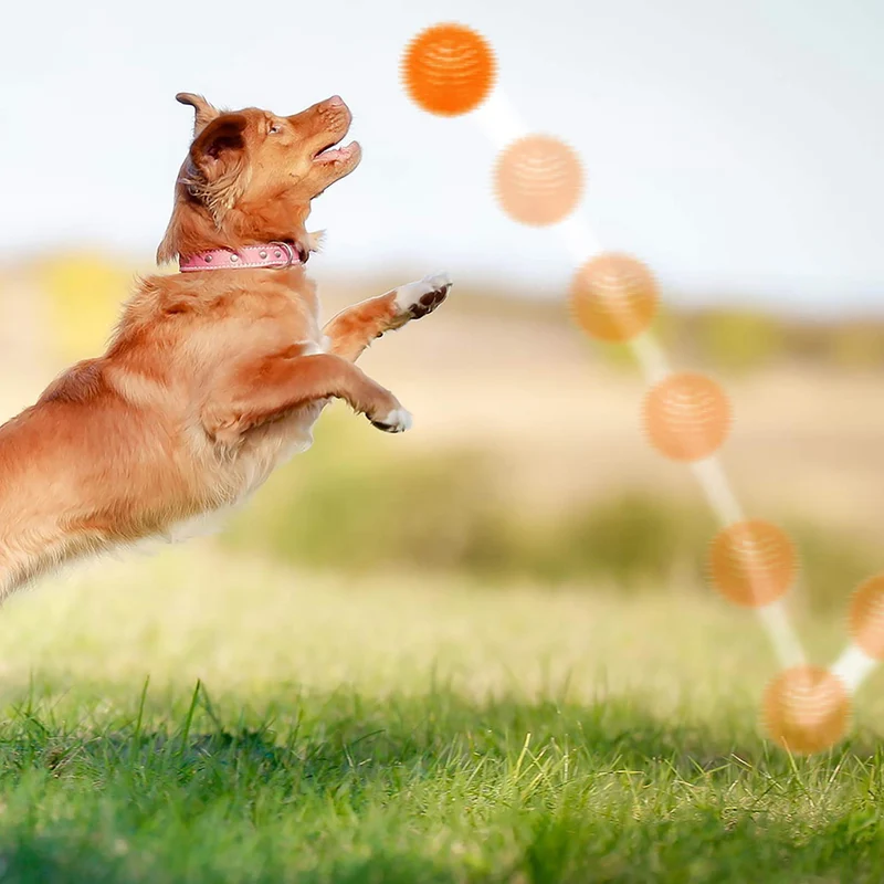 Bolas chirriantes para perros pequeños, pelotas de goma para perros, 6 unidades, colores brillantes, bolas de juguete para perro, juguetes chillones para perros, juguetes para masticar para perros pequeños, juguetes de dentición para cachorros