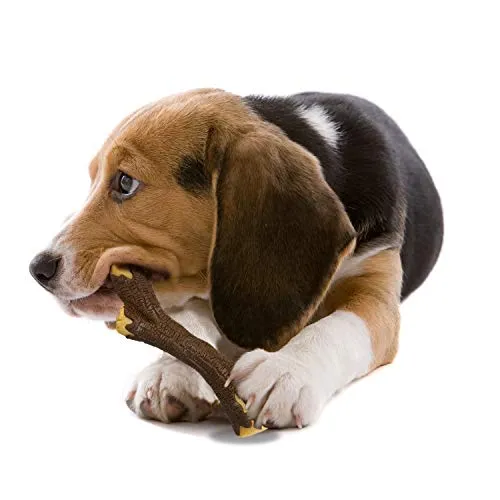 Nylabone - Masticador de madera para perro
