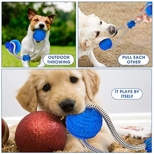 Juguete para morder Molar de GOCHANGE, cuerda interactiva multifunción, juguete de goma para masticar con ventosa para masticar, limpieza de dientes, apto para perros y gatos