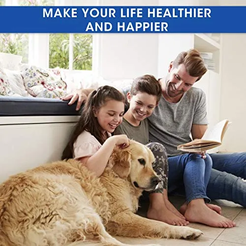 Juguete para morder Molar de GOCHANGE, cuerda interactiva multifunción, juguete de goma para masticar con ventosa para masticar, limpieza de dientes, apto para perros y gatos