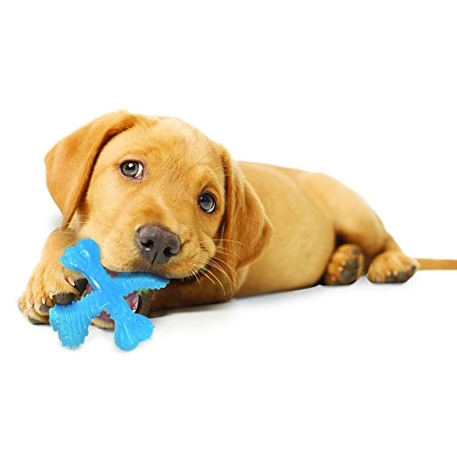 Nylabone Power Chew Juguete para perro duradero, carne de vacuno,