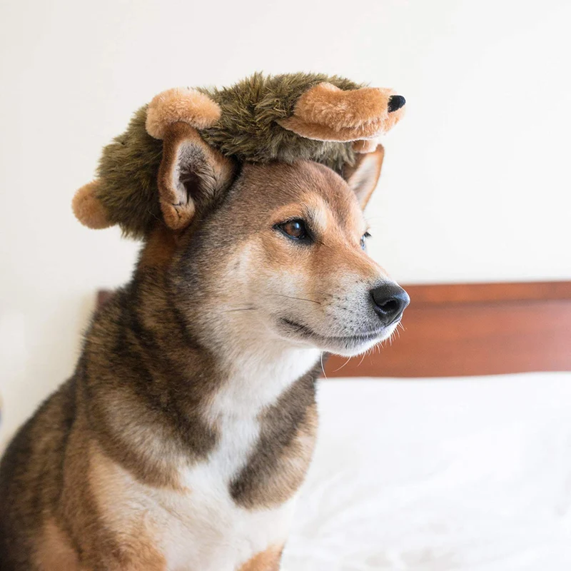 ZippyPaws – Peluche de peluche para perros pequeños y medianos