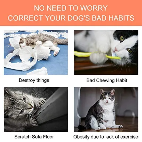 Bojafa Cat Catnip Juguetes para Gato Juguete Masticar Dientes Limpieza - Almohada Creativa Rasguño Mascota Catnip Dientes Molienda Masticar Juguetes