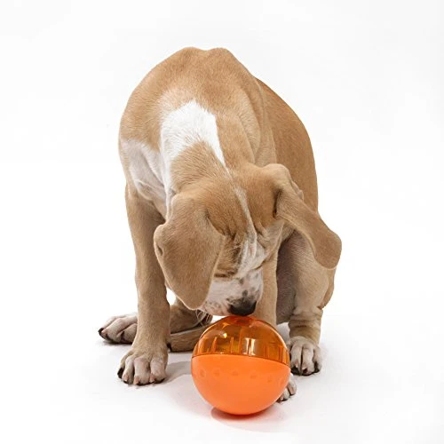 OurPets IQ Treat Ball Interactive Food Dispensing Dog Toy (Colors May Vary)