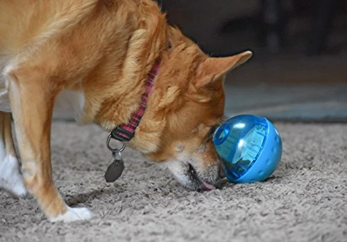 OurPets IQ Treat Ball Interactive Food Dispensing Dog Toy (Colors May Vary)