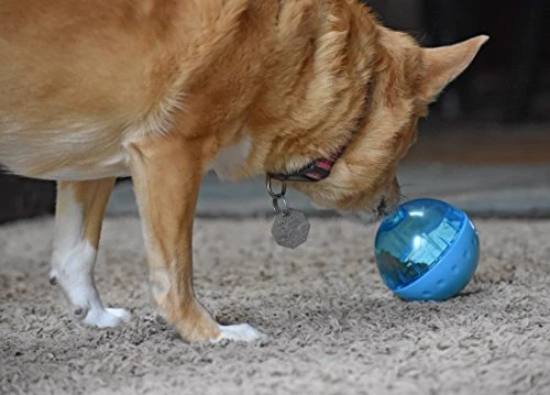OurPets IQ Treat Ball Interactive Food Dispensing Dog Toy (Colors May Vary)